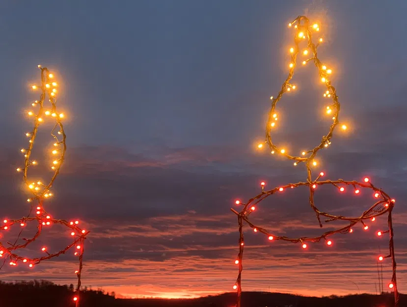 Nắp Đậy Đèn LED Dây Trang Trí Nhiều Màu - Image 1