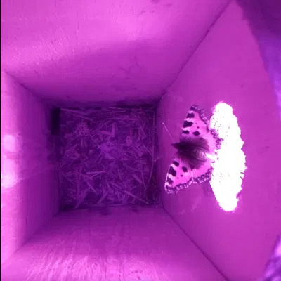 Vỏ camera nhà chim