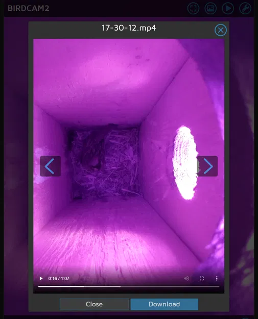 Vỏ camera nhà chim - Image 2