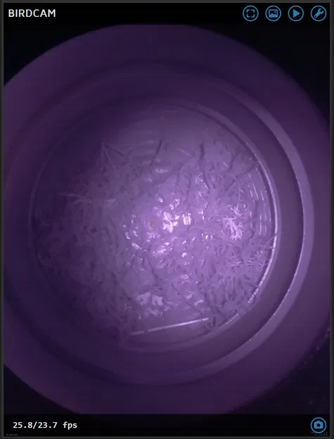 Vỏ camera nhà chim - Image 3