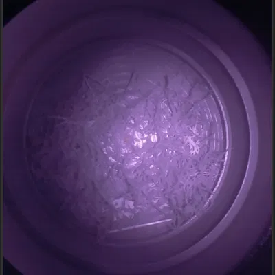 Vỏ camera nhà chim