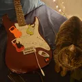 Mở Bia Fender Stratocaster - Thumbnail 5