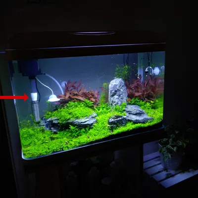 Adapter Chống Hút Tép Cho Lọc INVITAL EasyTank Aqua