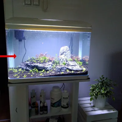 Adapter Chống Hút Tép Cho Lọc INVITAL EasyTank Aqua