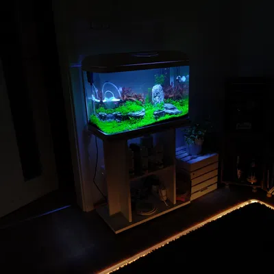 Adapter Chống Hút Tép Cho Lọc INVITAL EasyTank Aqua