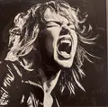 Lzzy Hale - Halestorm (Mô hình in 3D) - Thumbnail 1