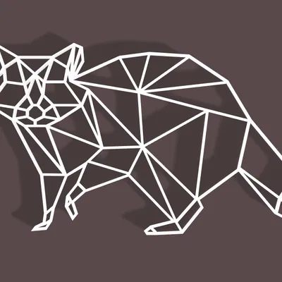 Gấu mèo Hình học