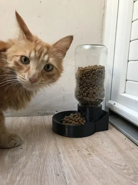 Hộp chia thức ăn cho mèo - Image 1