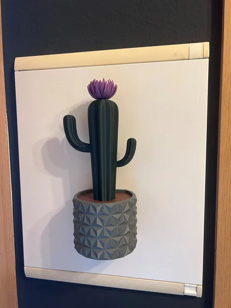 Chậu cây xương rồng nam châm / magnetic plant pot - Image 1