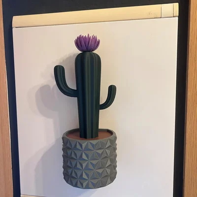 Chậu cây xương rồng nam châm / magnetic plant pot