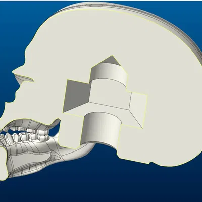 Nút Cần Số - Hộp Sọ