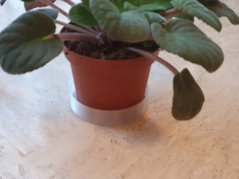 Đế Chậu Hoa - Image 2