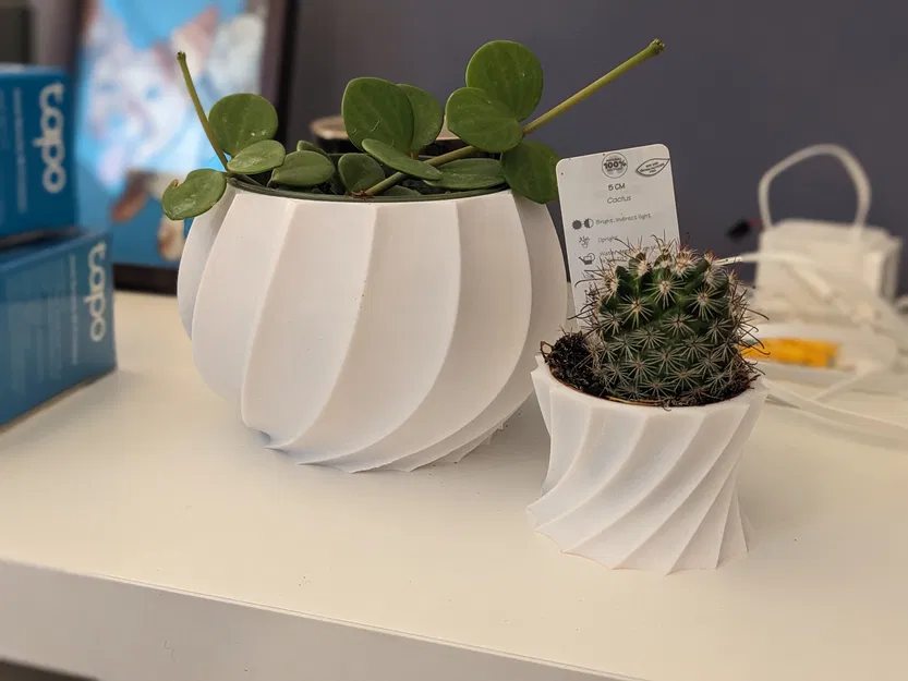 Chậu Cây Xoắn Ốc - Image 2