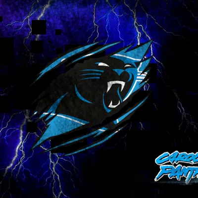 Đèn ngủ Lithophane Đội Bóng Bầu Dục Carolina Panthers
