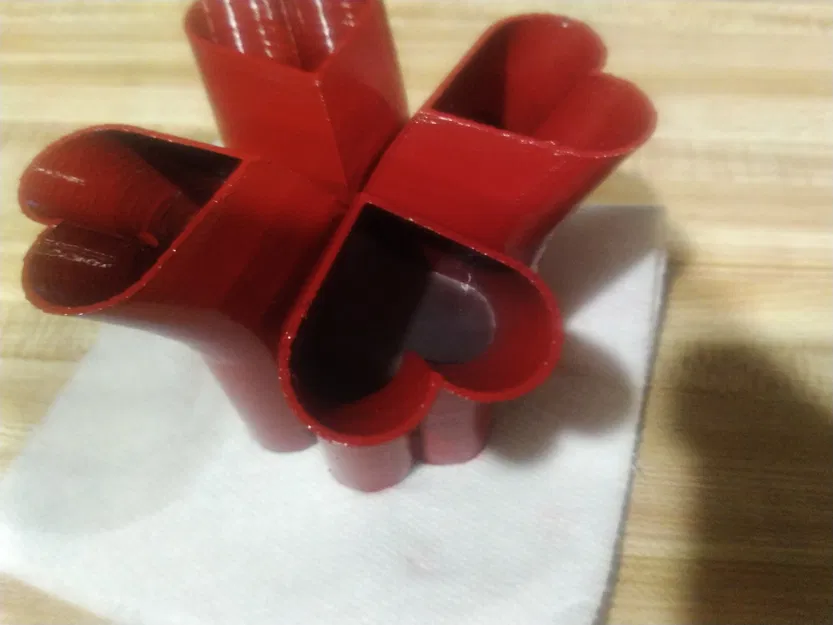 Bình Hoa Trái Tim - Image 5