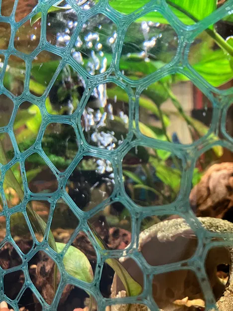 Tấm Phông Nền Hồ Cá Voronoi - Image 4