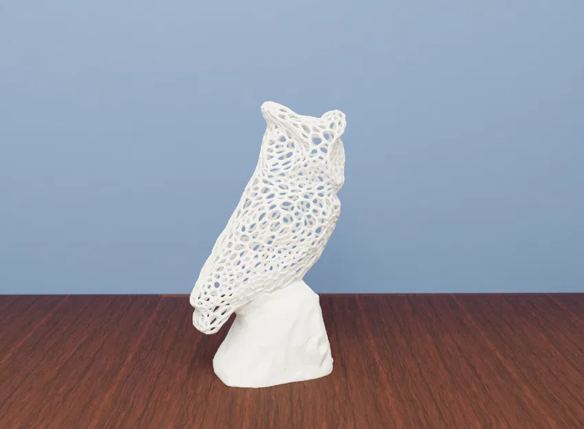 Mô hình Cú Voronoi - Sự kết hợp giữa Nghệ thuật và Toán học - Image 1