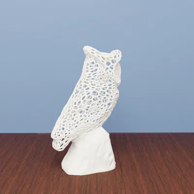 Mô hình Cú Voronoi - Sự kết hợp giữa Nghệ thuật và Toán học