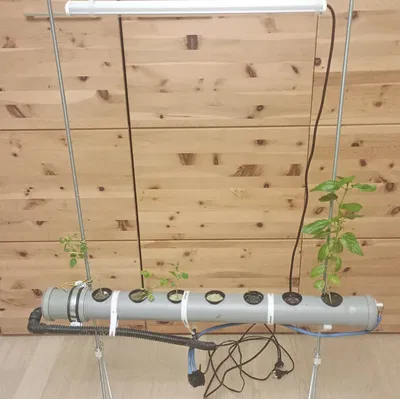 Khung đỡ hệ thống Aquaponics tự chế đặt trên bể cá