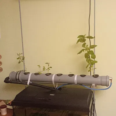 Khung đỡ hệ thống Aquaponics tự chế đặt trên bể cá