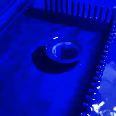 Đầu ống tràn hồ cá