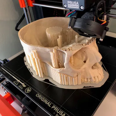 Hộp sọ người, đúng giải phẫu