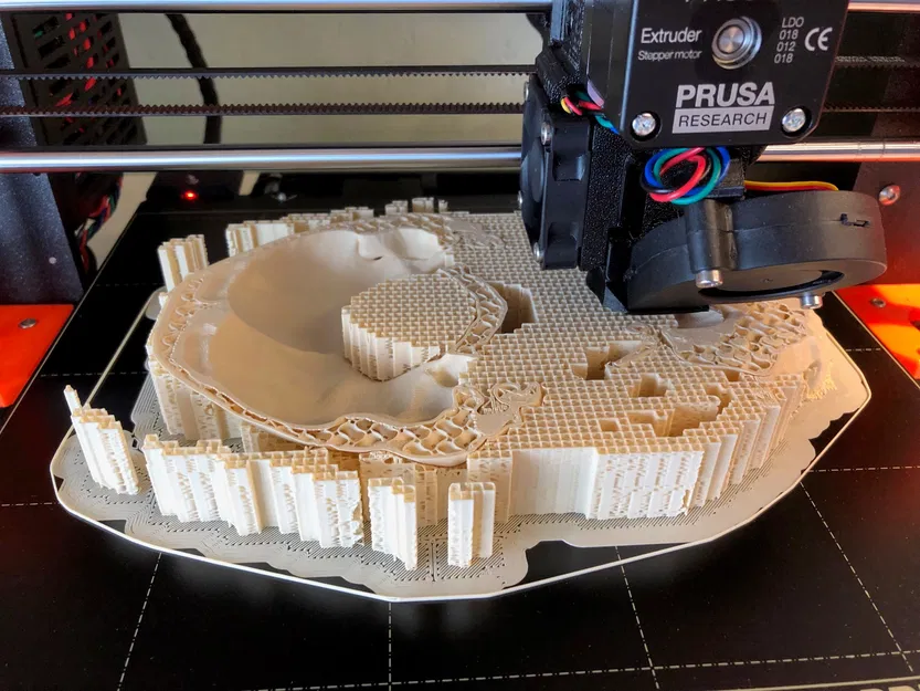 Hộp sọ người, đúng giải phẫu - Image 5