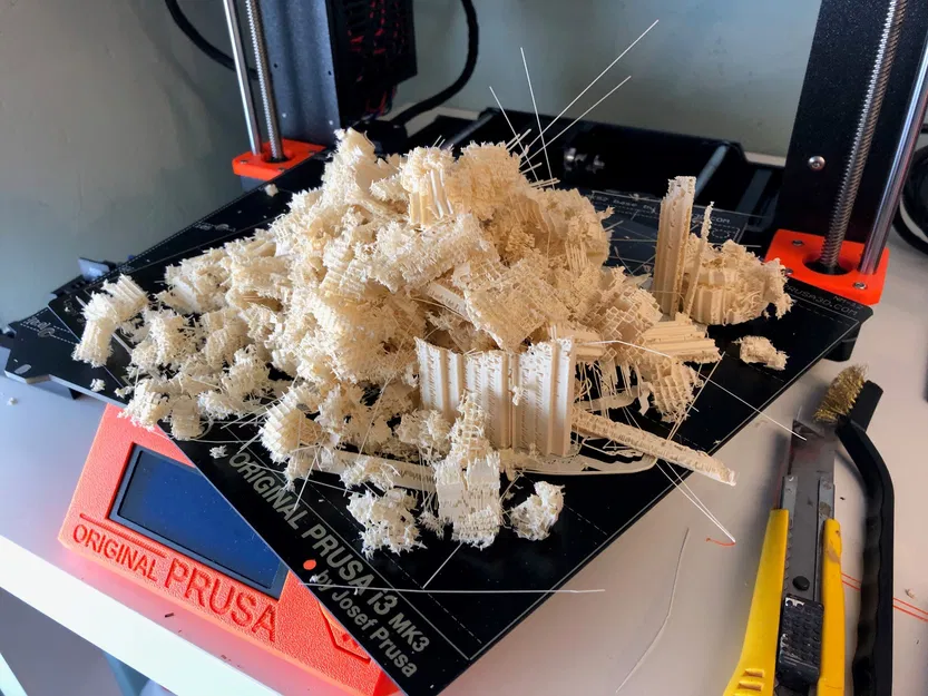 Hộp sọ người, đúng giải phẫu - Image 6