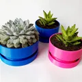 Chậu Hoa Tròn Có Lỗ Thoát Nước - Thumbnail 1