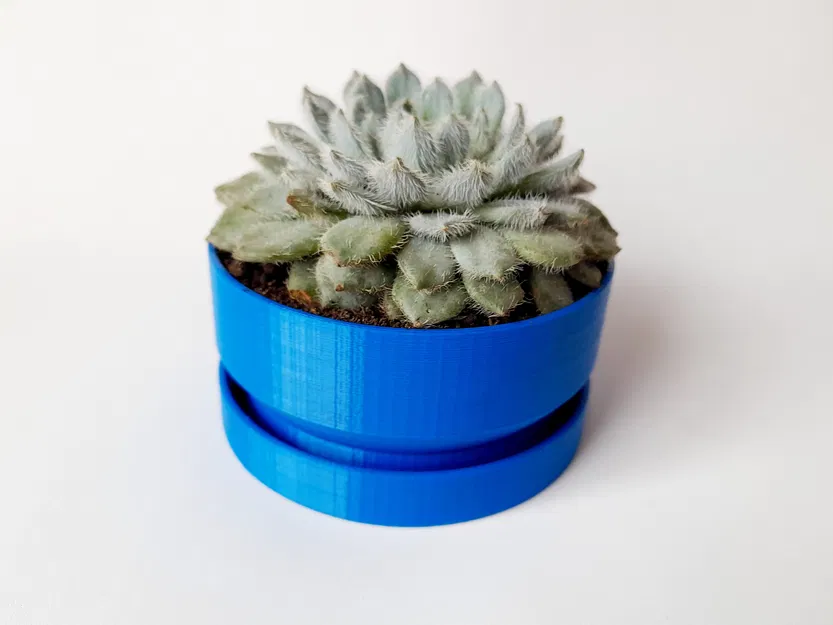 Chậu Hoa Tròn Có Lỗ Thoát Nước - Image 4