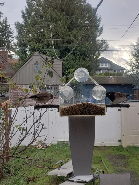 Chỗ Đậu Cho Chim - Image 1