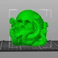 Đầu Lâu Bạch Tuộc Octo Skull - Thumbnail 2