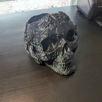 Chậu Đầu Lâu Bạch Tuộc bản phối lại