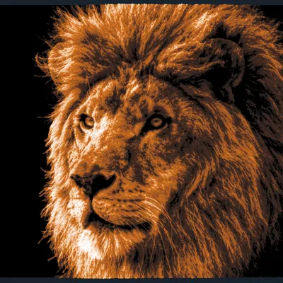 Tranh đầu sư tử