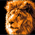Tranh đầu sư tử - Thumbnail 3