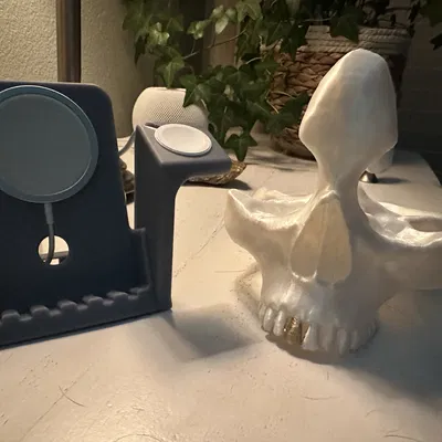 Chân Kính và Khay Đựng Đồ Hình Đầu Lâu