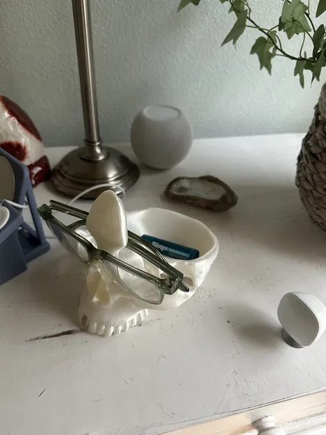 Chân Kính và Khay Đựng Đồ Hình Đầu Lâu - Image 5