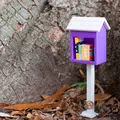 Thư viện Tự do Thu nhỏ (Little Little Free Library) - Thumbnail 1
