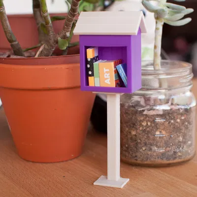 Thư viện Tự do Thu nhỏ (Little Little Free Library)