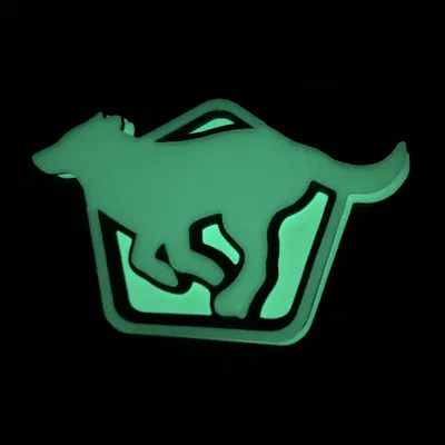 Chó đang chạy - dạ quang