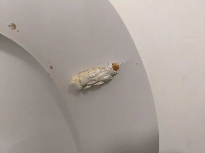 (Cũ) Bộ đệm nắp bồn cầu Kandre "KAN" - Image 4