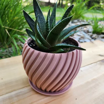 Chậu Hoa Cong Có Khay Thoát Nước Tích Hợp