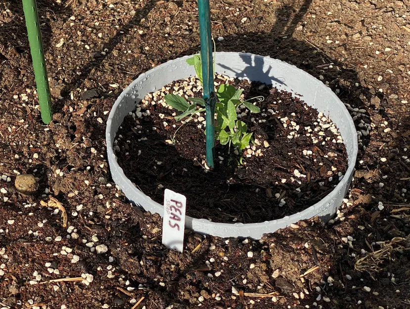 Vòng tưới cây - Image 1