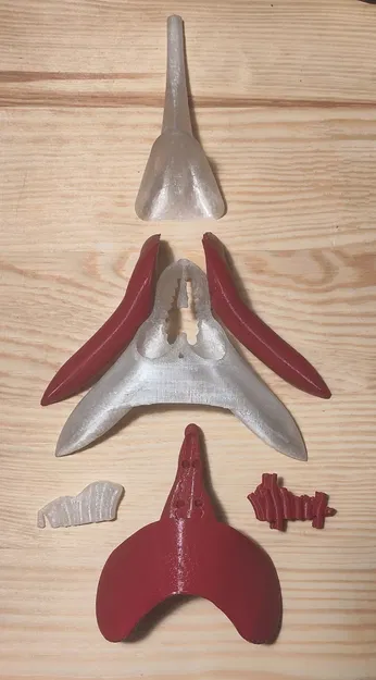 [Beta] Mô hình giải phẫu âm vật dùng trong giáo dục - Image 3