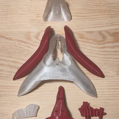 [Beta] Mô hình giải phẫu âm vật dùng trong giáo dục