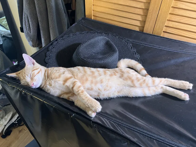 Giá đỡ thanh ray cho lều máy in 3D - Image 7