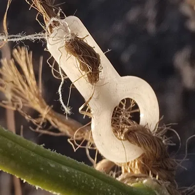 Dụng cụ Căng Dây Vườn - Orchard tensioner