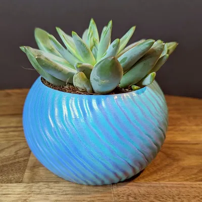 Chậu cây dáng sóng