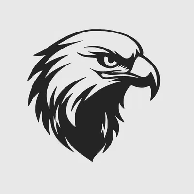 Tranh treo tường Đại bàng