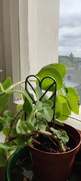 Chân Đế Chậu Hoa - Image 1